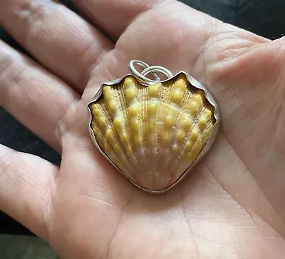 Sterling Silver Bezeled Hawaiian Heart Sunrise Shell  Pendant Necklace 11:11 • $75