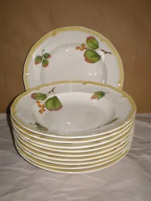 NICE Set 10 Villeroy Boch Home Garden Collection PARKLAND 9  Rim Soup Bowls • $449.95