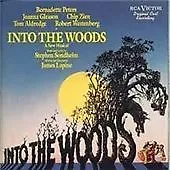 Into The Woods (Peters Gleason Zien Aldredge Westenberg) CD (1990) • £37.44