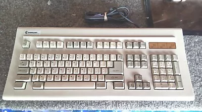 Vintage Chicony KB-5161 Clicky Mechanical Keyboard Converted To PS/2 TESTED • $119