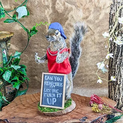 L44x Grey  Squirrel Flipping Bird Giving Finger Taxidermy Curiosity Oddities • $239.99