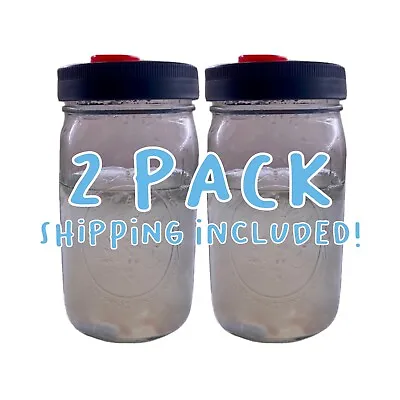 Liquid Culture Jars For Mycelium Growth Sterile Liquid Culture Solution 2 Pack • $42