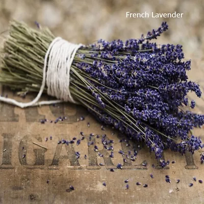 $18.95 • Buy PREMIUM HIGHLY SCENTED REED DIFFUSER REFILLS - French Lavender Fragrance