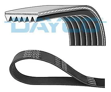 Dayco V-Ribbed Belt Fits Chevrolet Citroen Fiat Lancia Peugeot Renault 6PK1710 • $31.53