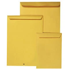 POCKET ENVELOPES C5 KRAFT 229 X 162mm Zip Seal Gold Bx500  142827 • $50