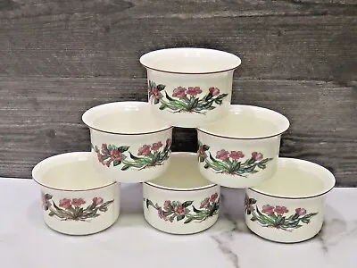 Set Of 6 Villeroy & Boch Botanica Fluted Custard Ramekin Cups 3 5/8  • $98