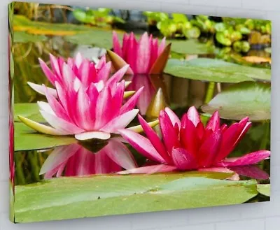 Water Lilies Flowers Lily Pond Canvas Wall Art Picture Print Large • £22.97