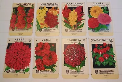 8 Vintage FLOWER SEED PACKETS (S60)-Schmidt Litho-Lagomarsino-3 1/4  X 5 -Zinnia • $14