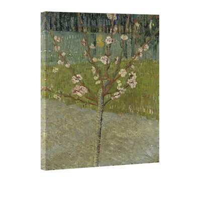 Canvas Print Wall Art Van Gogh Painting Repro Pic Home Decor Framed Floral Tree • $1.99