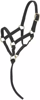 Tough 1 Miniature Nylon Halter Black Large Mini • $12.14