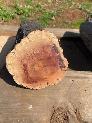 Manzanita Burl Wood Slab  #957  10  X 10 1/2  X 1  • $8.50