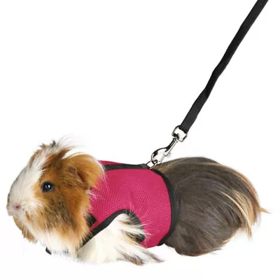 £4.79 • Buy Breathable Soft Pet Rabbit Guinea Pig Rat Ferret Harness & Lead Leash Set New