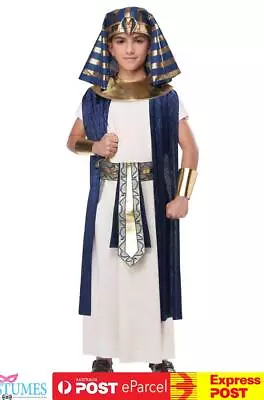 Ancient Egyptian Roman Medieval Greek Boy Girl Child Book Week Costume • $56.45