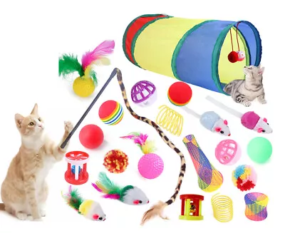 22PCS Lovely Pet Toy Bulk Buy Cat Kitten Toys Rod Fur Mice Bells Balls Play Kit • $15.69