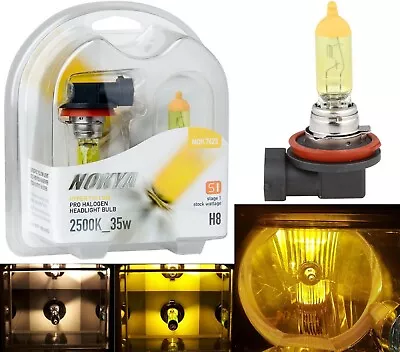 Nokya 2500K Yellow H8 Nok7623 35W Two Bulbs Fog Light Replacement Plug Play Lamp • $24.70