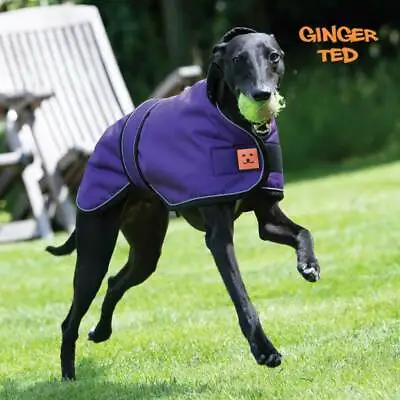 £50.99 • Buy Ginger Ted UK Greyhound Lurcher Whippet Waterproof Warm Shower Coat / Jacket