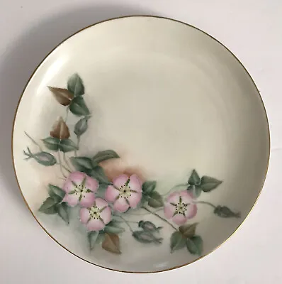 Hand Painted Morning Glory Plate Art By Honey Lee Limoges France Gold Rim G.A.H. • $19.99