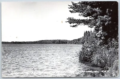 Postcard RPPC WI Star Lake Wisconsin Ballard Lake Rismon Lodge Vilas County WI09 • $7.99