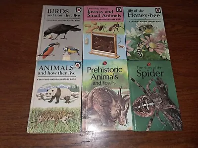 Ladybird Books X6. Natural History. Series 651. • £7.99