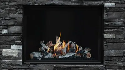 46  Direct Vent Gas Fireplace 40000 BTU Remote Blower Lights Free Shipping • $5900