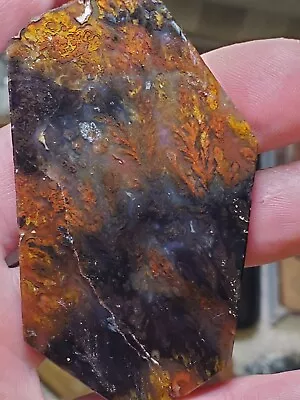 Woodward Ranch Red Plume Sagenite Needles Agate 2 Sided Polished Slab 34g • $42