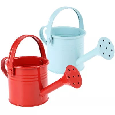 Watering Can Kettle Watering Can Plants Metal Watering Can Watering Spout Plants • £11.18