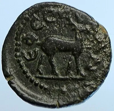 SEPTIMIUS SEVERUS 193AD Ephesus Ionia Stag Authentic Ancient Roman Coin I110185 • $586.80
