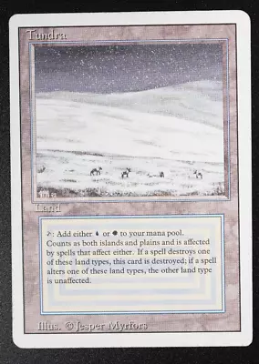 Tundra Revised Dual Land 1994 MTG Magic: The Gathering Card Reserved List • $38.54