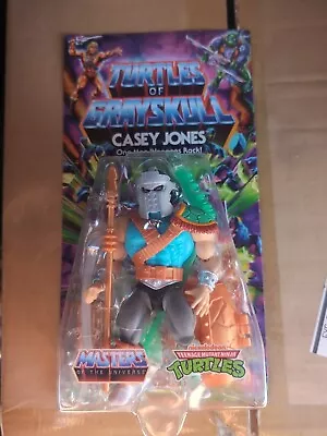 MOTU TMNT Masters Of The Universe Origins Turtles Of Grayskull Casey Jones • $45
