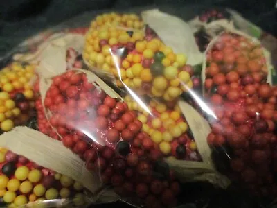 Corn Cob Fall Scatters Brand New 12 Count Autum Thanksgiving • $12.95