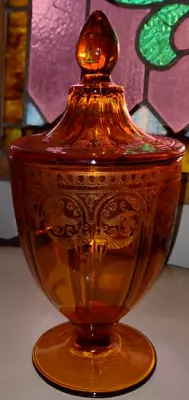 Cambridge Glass CANDY JAR & LID AMBER #704 Etch 1/2 Lb. 9.5  EXC. RARE STUNNING • $85