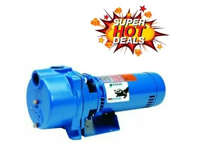 Goulds GT10 Irri-Gator Self Priming Centrifugal Pump - 1 HP SAME DAY SHIPPING!! • $409