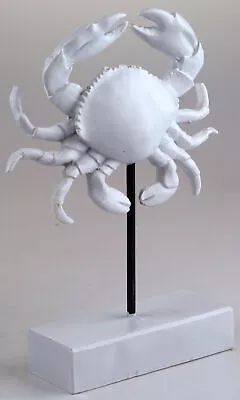 White Crab 22cm Sculpture Ornament On Stand - Nautical Home Decor • £12.99