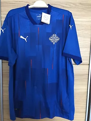 Iceland Football Shirt • £15