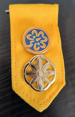 Vintage Girl Scouts 2 Different Pins Flower Daisy Pen Blue Yellow Broach Pendant • $19.80