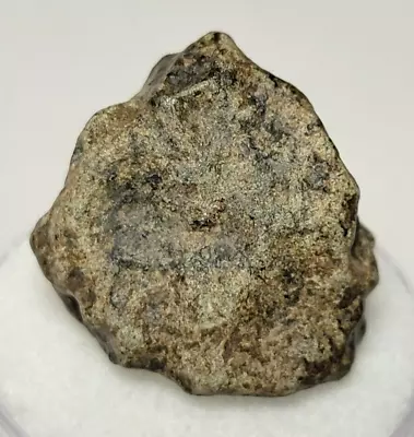 Amgala 001 Rare Individual Martian Shergottite Mars Meteorite 7.71 Grams • $539.95