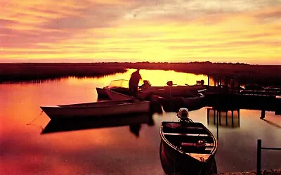 Postcard Greetings From Myrtle Beach South Carolina Sunrise Fishing Docks • $5.09