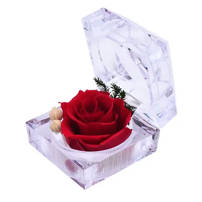 $9.40 • Buy Eternal Preserved Real Rose Flower Acrylic Crystal Box Valentine's Day Gift US
