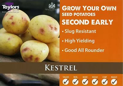 £4.50 • Buy Kestrel Seed Potato - Second Early - Available In Bags Of 5,10,15