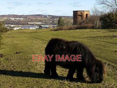 Photo  Summerhouse Summerhouse Hill Blaydon Brick Octagonal Summerhouse Dating F • £1.85