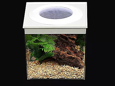 Large Vented Critter Cube For Young SpidersSlings & Mantis Nymphs  FROM £499* • £9.44