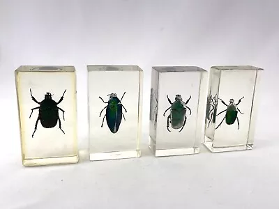 Vintage Insect Specimens In Lucite - Green - Set Of 4 • $65