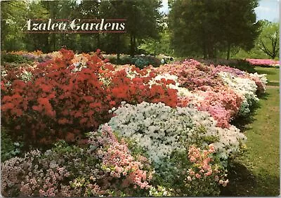 Postcard OK Muskogee - Azalea Gardens At Honor Heights Park • $7.99