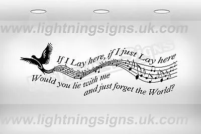 Snow Patrol If I Lay Here Music Notes Lyrics Bird Vinyl Sticker Room Wall Art • £9.13