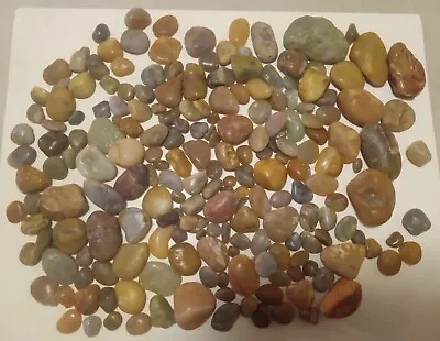 2 Lbs 9 Ozs Montana Agates W/some Variants  Unique/dark/jade Colored/clear Green • $25