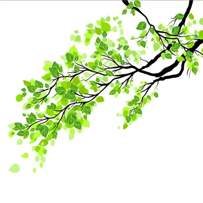 Removable Green Leaf Branch Wall Mural Glass Sticker Decals Home Window Decor • $13.20