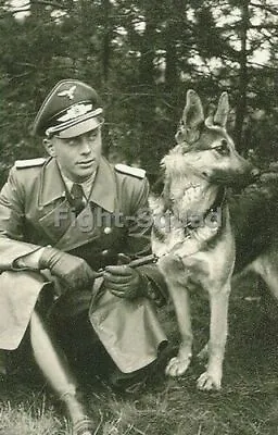 £5.99 • Buy WW2 Picture Photo German Officer With His Dog 3310