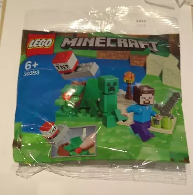 LEGO Minecraft Steve And Creeper 30393 Minifig Set Polybag New Sealed • £11.99