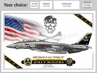 F-14A TOMCAT Jolly Rogers - Airplane Profile • $5