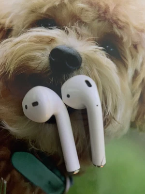 $40 • Buy Air Pods